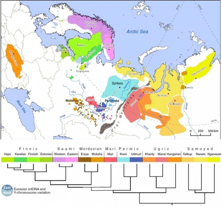 Geographical Location and Language Diversity of the Ural-Speaking Populations