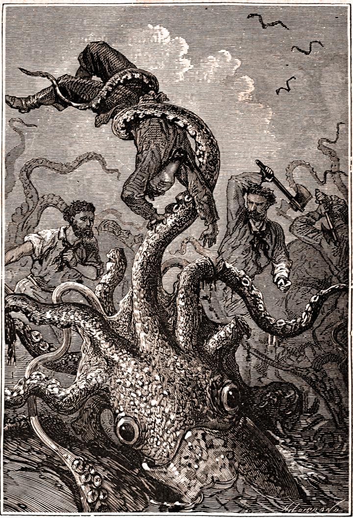 Giant Squid Captures Sailor