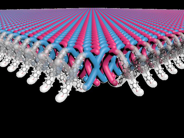 Mechanically interlocked two-dimensional polymers