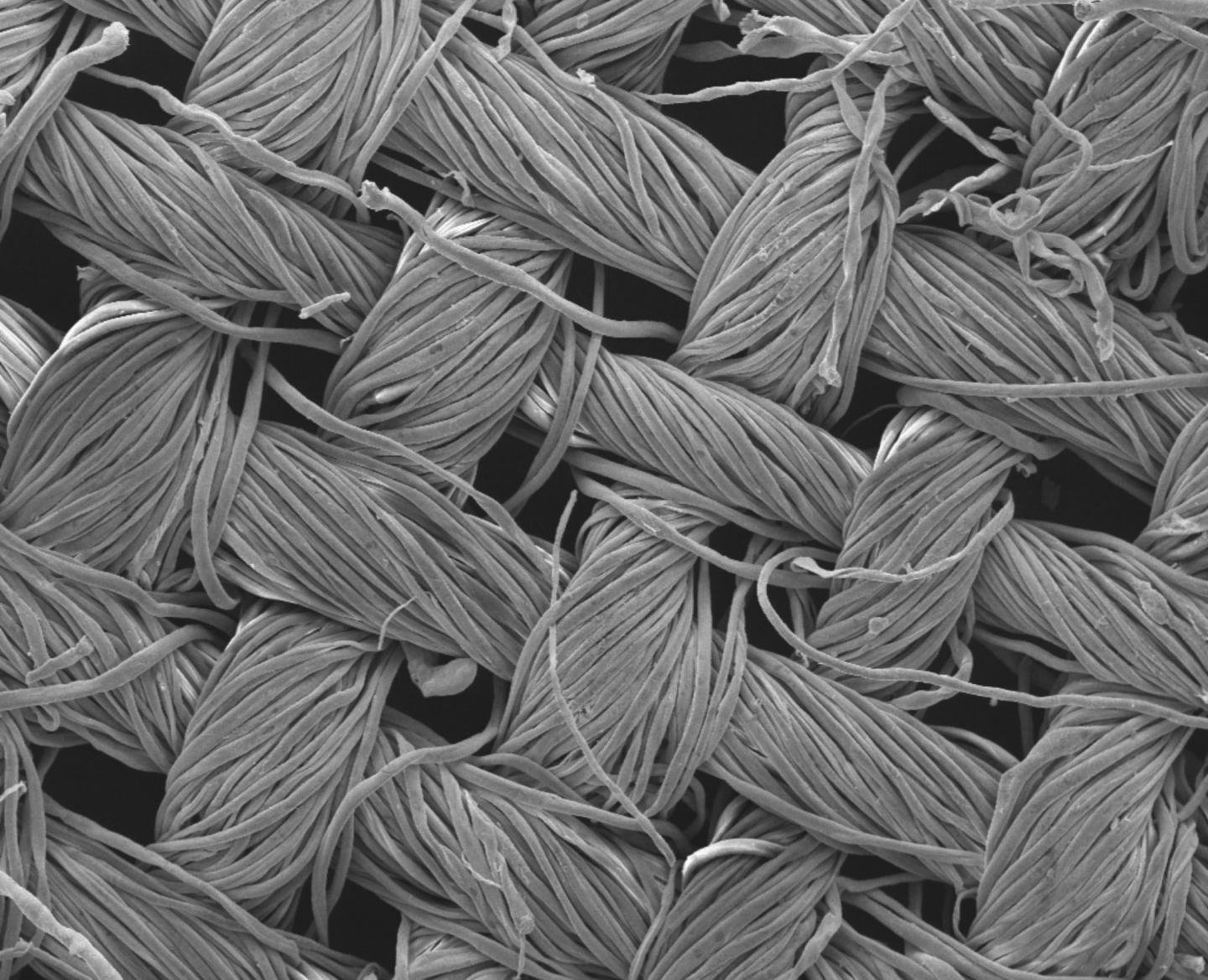 Self-Cleaning Textiles