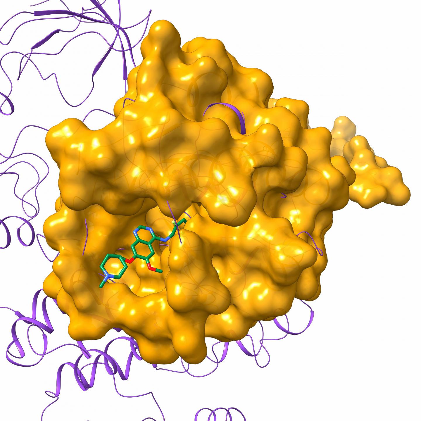 Chemotherapeutic Vandetanib Bound to Protein Tyrosine Kinase 6
