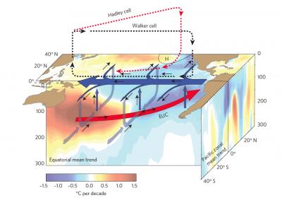Schematic of the Trends in Temperature and Ocean-Atmosphere Circulation in the Pacific Over the past