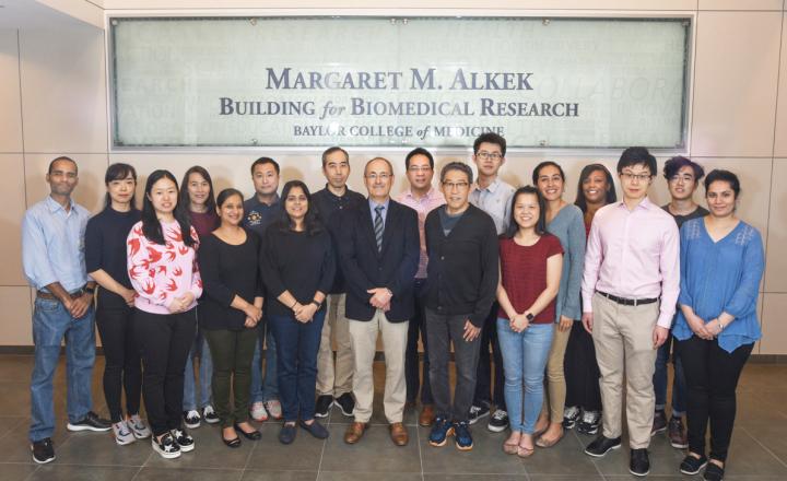 Members of the Matthew Ellis lab at Baylor College of Medicine