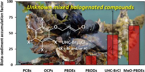 BSAFs of Representative OHCs Detected in the Paired Mussel and Sediment Samples