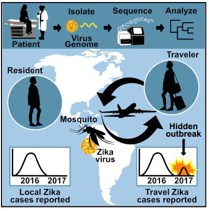 Detecting Hidden Zika outbreaks