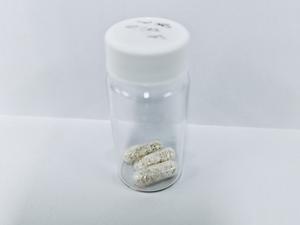 Insulin capsules