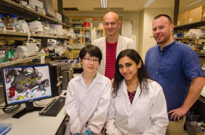 Par Norlund, Dr. Andreas Larsson, Dr. Sreekumar and Chen Dan