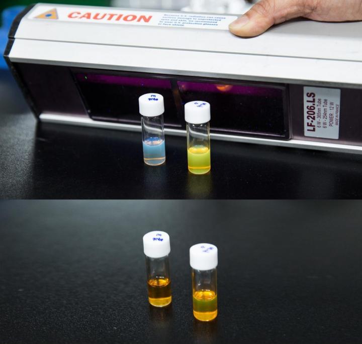 Hybrid Carbon Nanostructures (3 of 3)