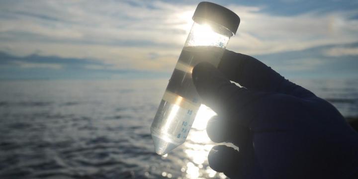 Taking a Fresh Look at Microbial Ecology