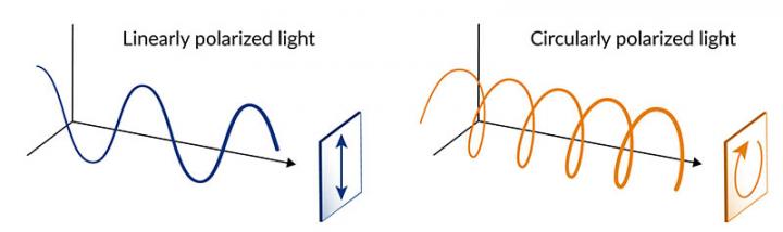 Spiraling corkscrews of laser light reveal a quantum material's secrets