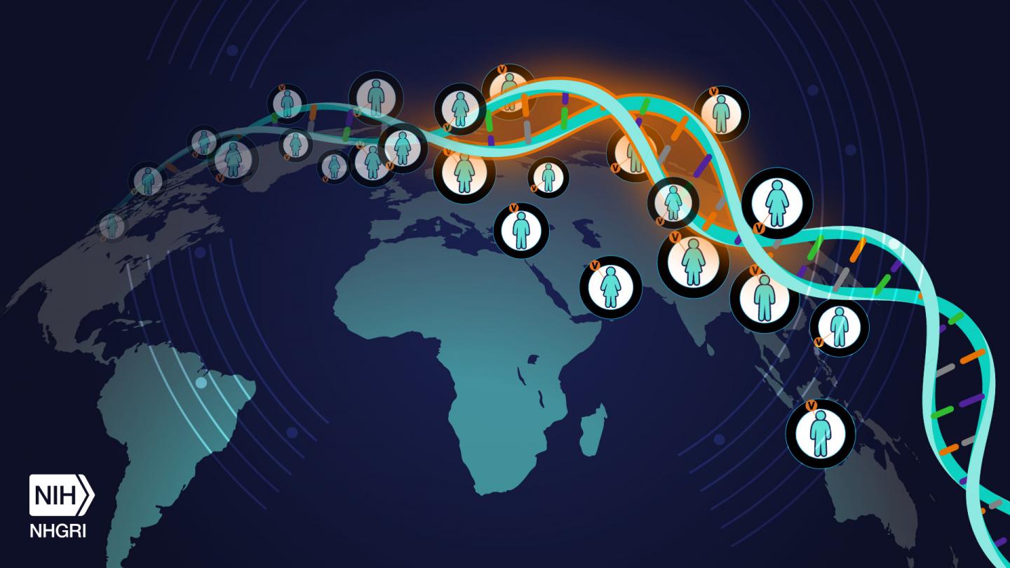 Polygenic Risk Score Diversity Consortium