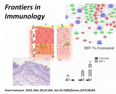 Surfactant Protein D Reverses Gene Signature, Restricts HIV Transfer