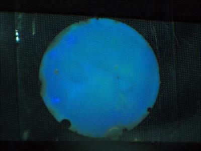 Color-Change Hydrogel Glucose Monitor