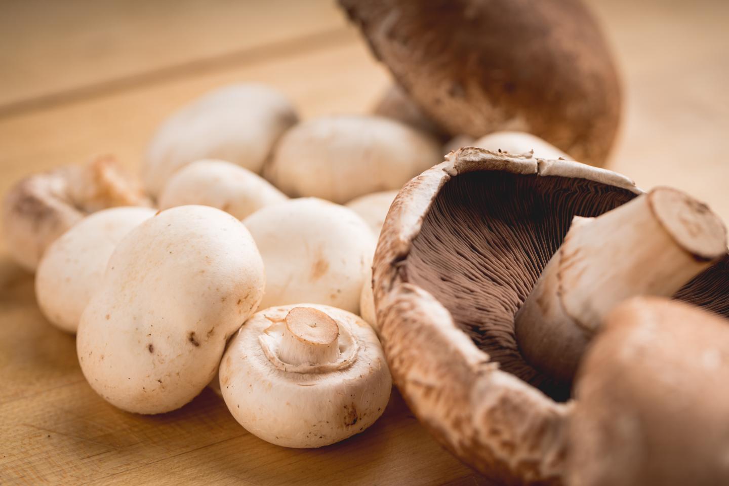 Cultivated, U.S. Mushrooms