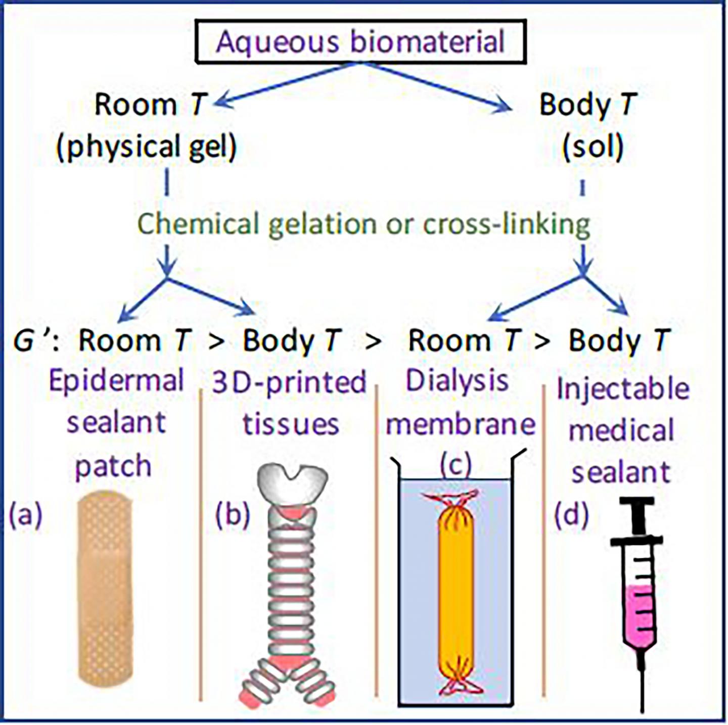 Different Temperatures Are Used to Create Different Products of Biomaterials