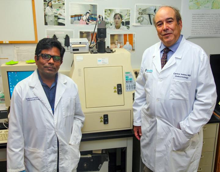 Drs. Sadanand Fulzele and Carlos Isales