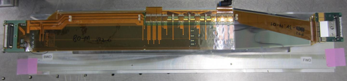 Prototype of the Detector Module