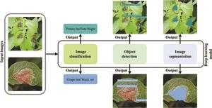 Revolutionizing Plant Disease Diagnosis: Nove | EurekAlert!