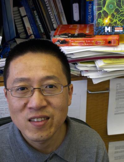 Hui Zong, University of Oregon