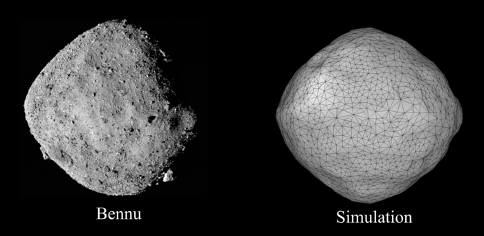 Observed and simulated shape of a rotating rubble-pile asteroid