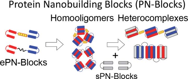 Image of Protein Nanobuilding Blocks