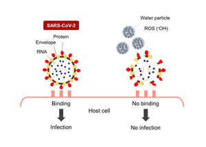 Nano-sized electrostatic atomized water particles destroy SARS-CoV-2 envelope, protein, and RNA