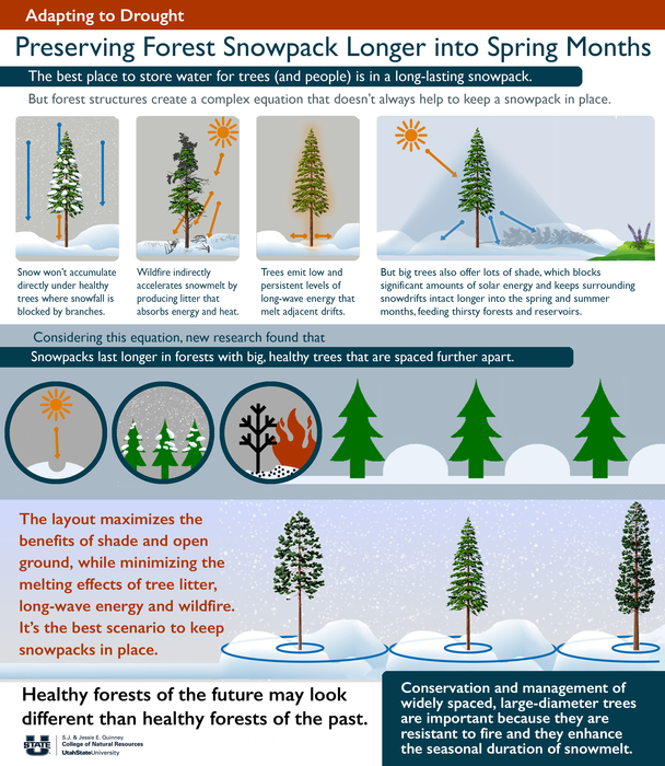 Preserving Forest Snowpack Longer into Spring Months