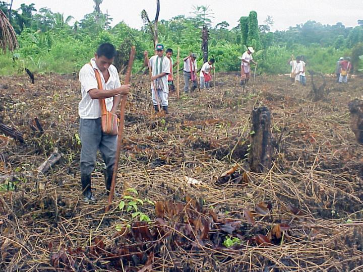 Farmers in Central America