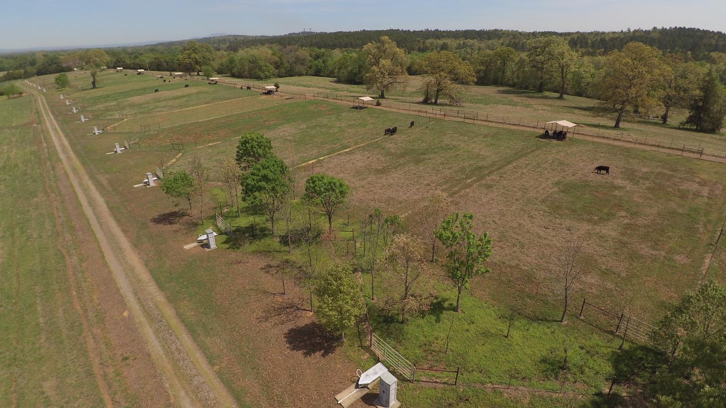 Drone Image of Watersheds near Booneville, Ark.