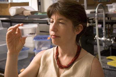 Marlene Zuk, University of California -- Riverside