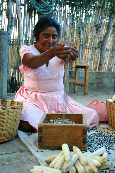 Delfina Castellanos, Oaxacan Farmer