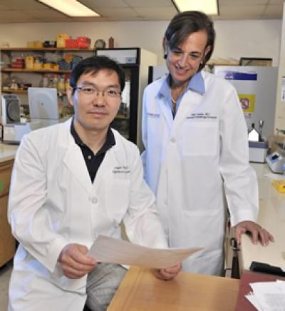 Dr. Beth Levine and Dr. Yongjie Wei, UT Southwestern Medical Center