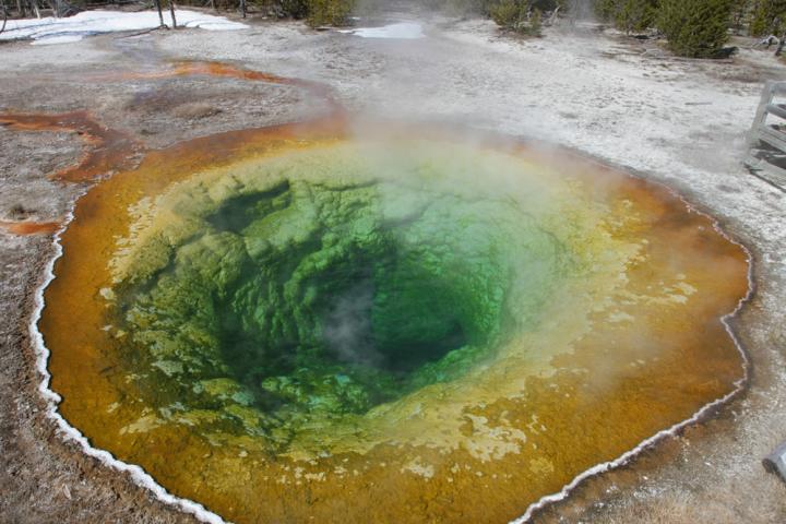 Morning Glory Pool