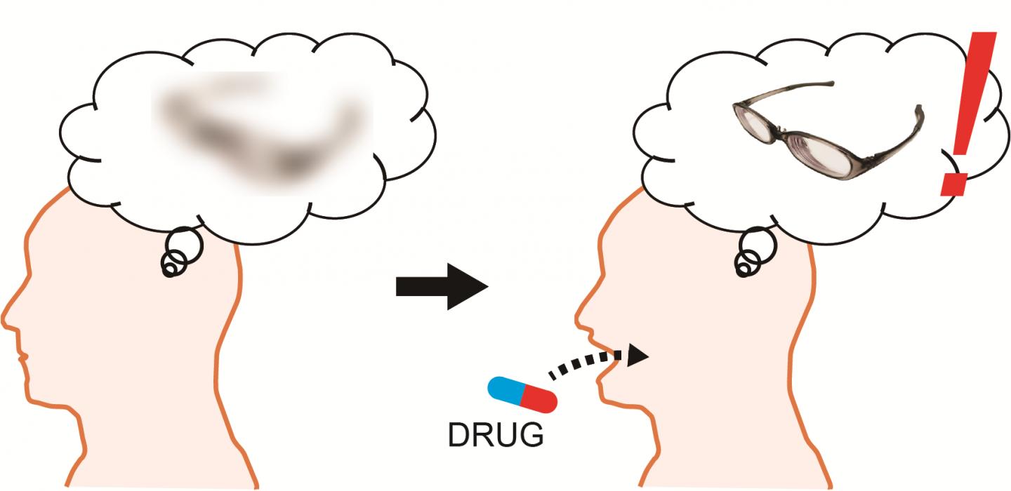 Central Histamine Boosts Perirhinal Cortex Activity and Restores