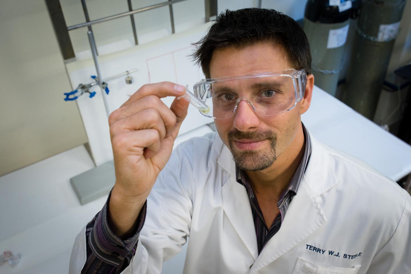 Terry Steele, Nanyang Technological University