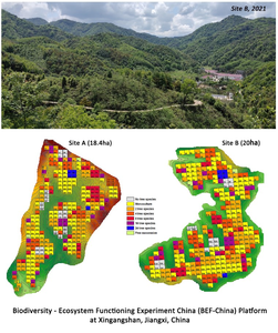 BEF-China experiment sites and the map of the different diversity levels