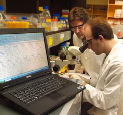 Dr. Jeffrey Mumm, Georgia Health Sciences University