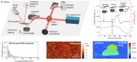 New Technique Reveals 3D Shape of Nanostructure’s Polariton Interaction 
