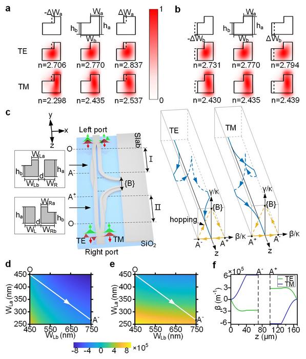 Figure. 1 | Double-coupled waveguides for polarization-controlled chiral transport.