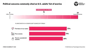 Stress in America 24