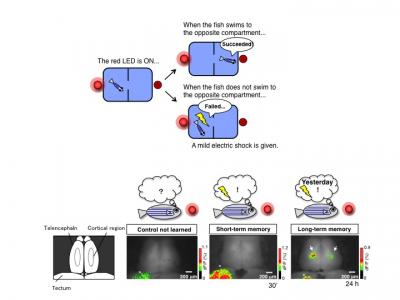 Fishing for Memories (1 of 2)