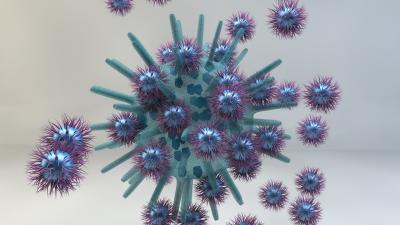 Attack of the Nanoparticles to a Virus