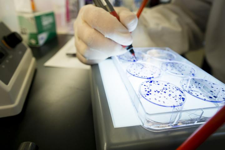 Discovering Cancer Blockers