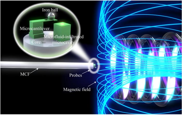 Schematic diagram of the MCF-tip probes for magnetic field and temperature discriminative sensing.