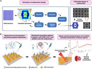 Illustration of (A) nanoplasmonic metasurface design and (B) functionalization, aptamer attachment, Raman spectra acquisition, and machine learning classification of spectra.