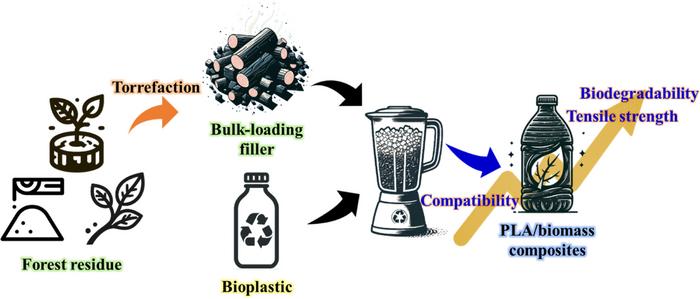 Enhancing Compatibility and Biodegradability of PLA/Biomass Composites via Forest Residue Torrefaction