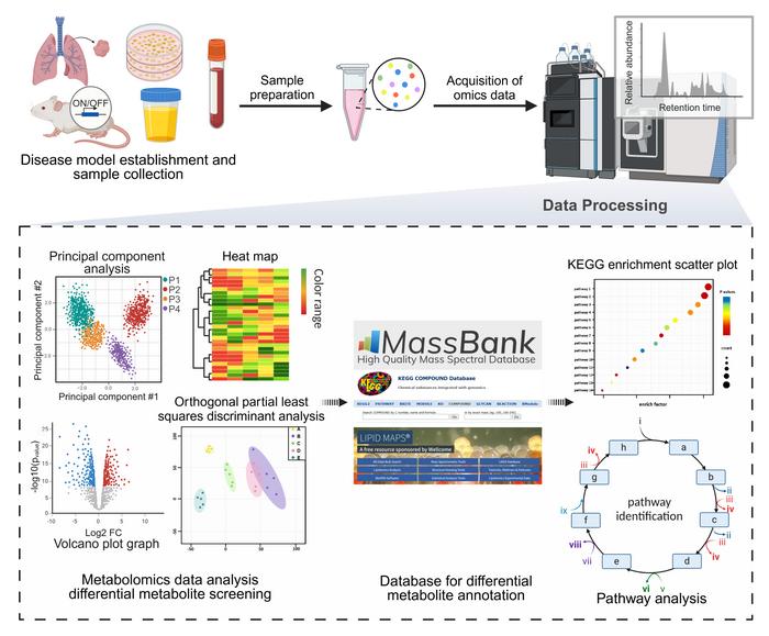 General workflow of metabolomics analysis of biological samples