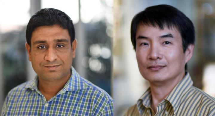 the First and the Corresponding Author of This Work