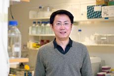 Tao Jin, University of Gothenburg 