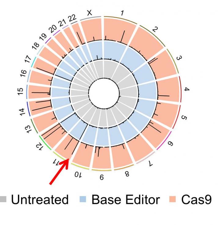 Comparison between DNA Scissor [IMAGE] EurekAlert! Science News Releases